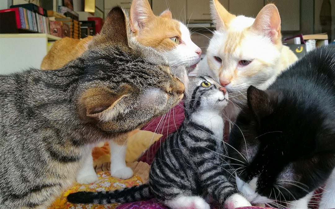 Die Krimi-Katzen mit Cocos Filz-Zwilling